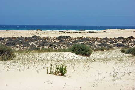 Dry dunes sun photo