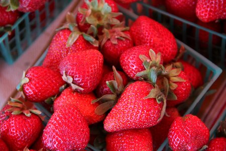 Sweet food fruit photo