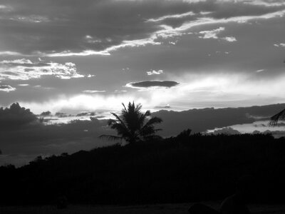 Coconut trees beira mar beach