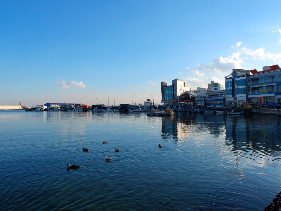 Sokcho daepo port winter sea