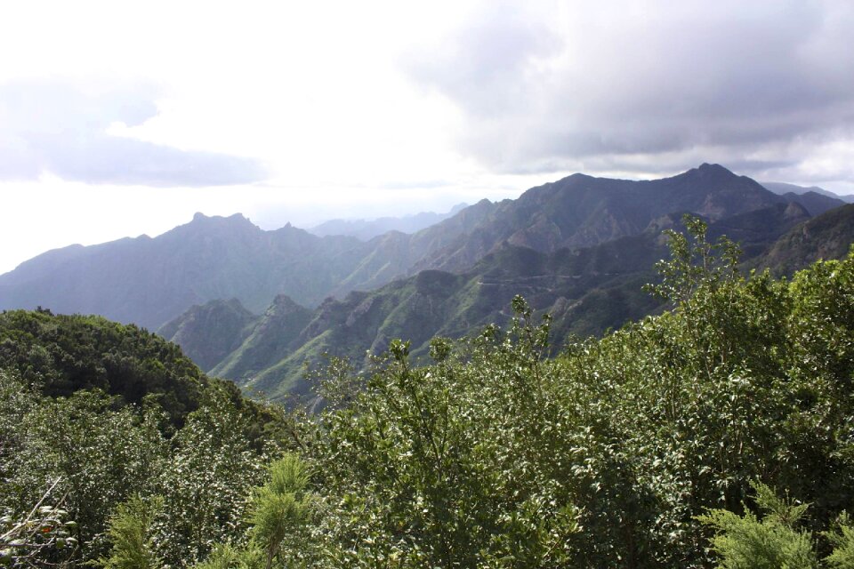 Plant nature mountains