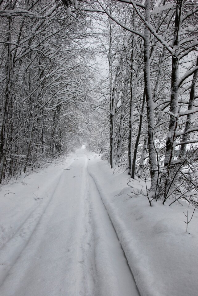 Away snowy winter mood