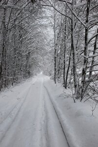 Away snowy winter mood