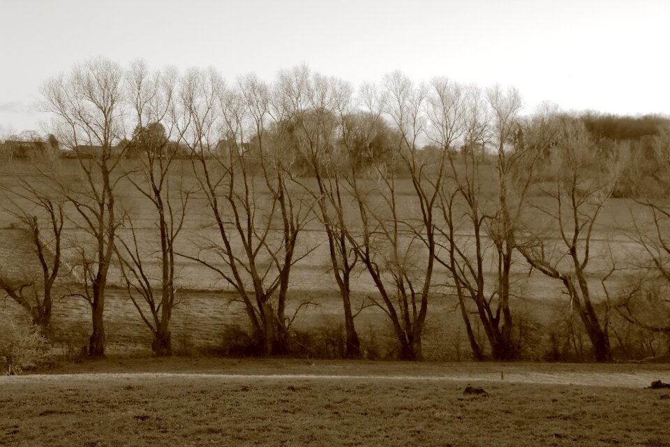 Autumn winter loneliness