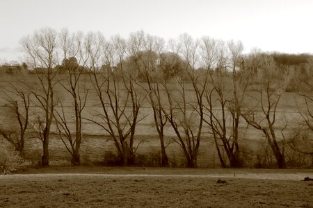 Autumn winter loneliness