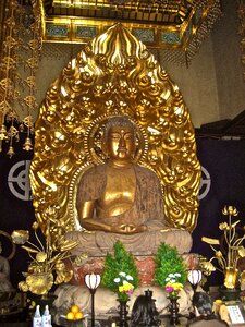 Japan golden buddha religion photo