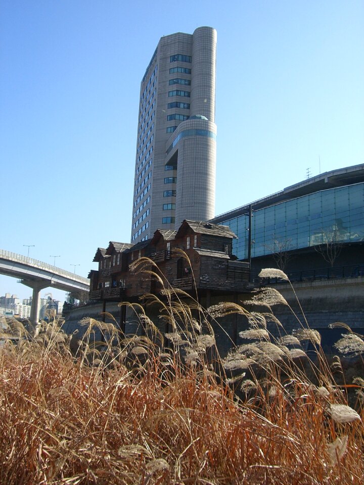 South korea building cityscape