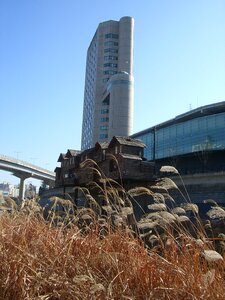 South korea building cityscape photo