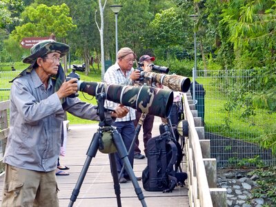Zoom lens professional green photo