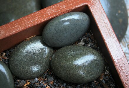 Grey shiny wet