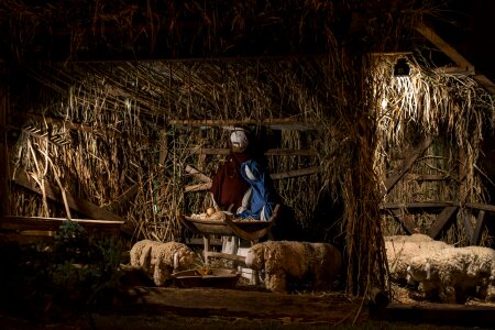 Nativity scene advent holidays