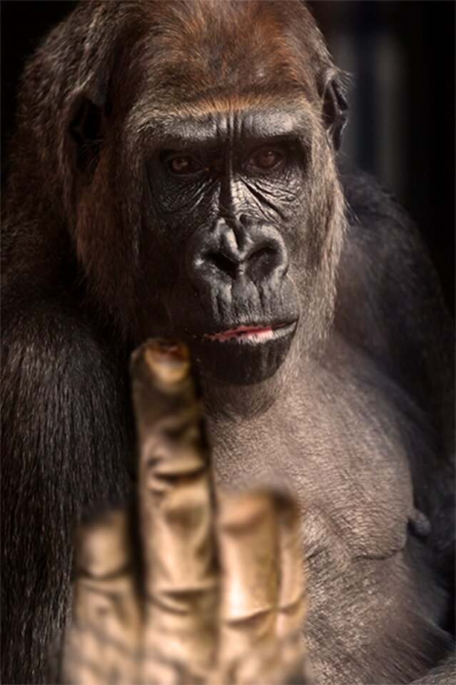 Gorilla gesture finger