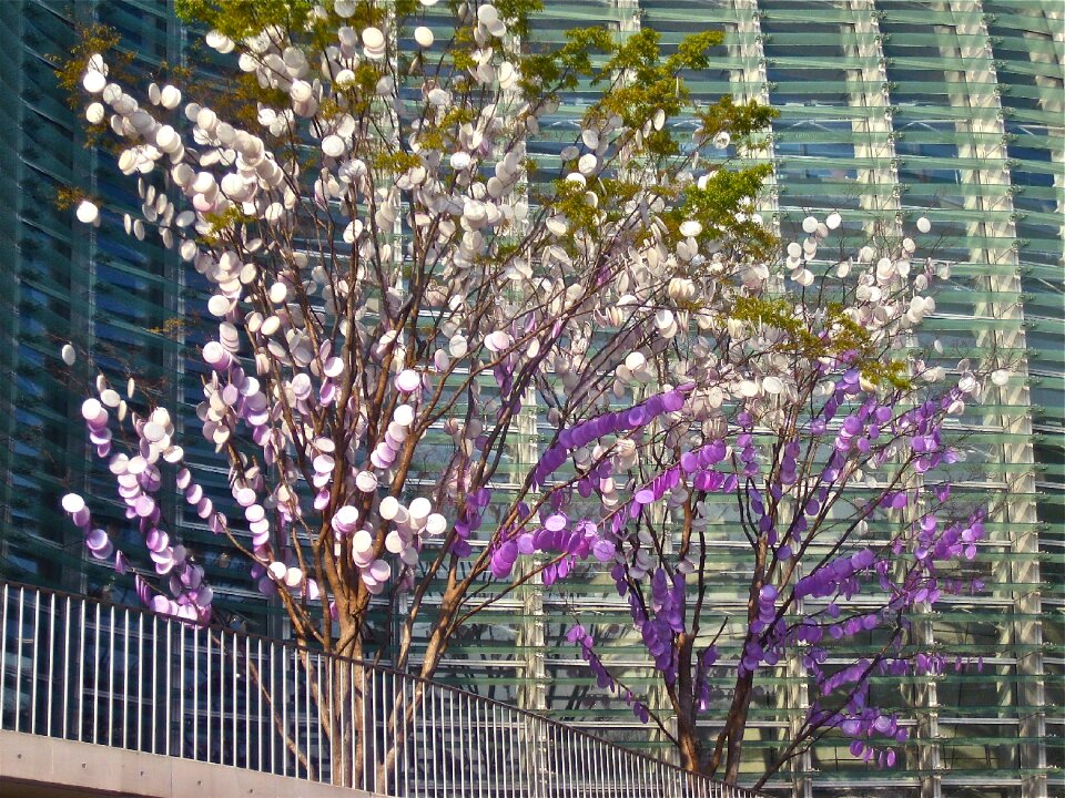 Tokyo coins tree pink