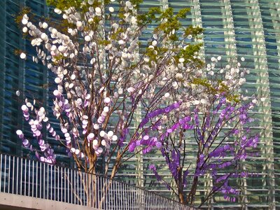Tokyo coins tree pink