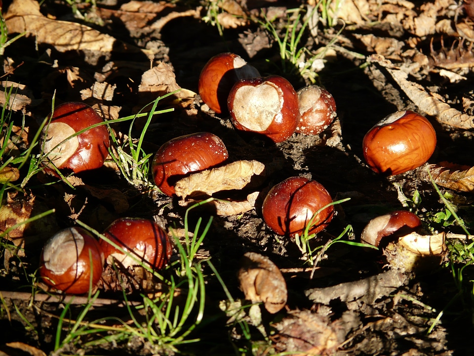 Concerns ground collect