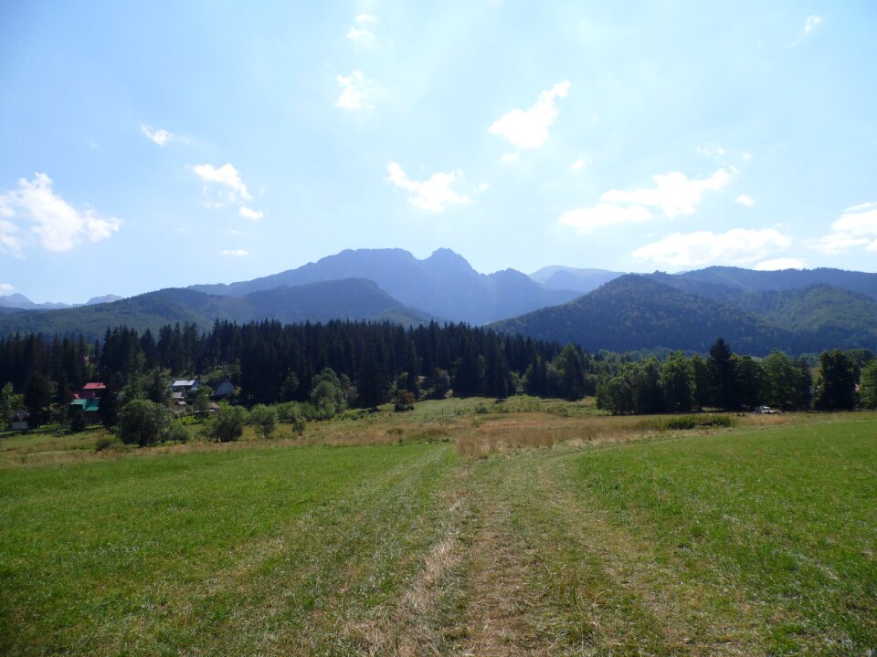 View summer nature