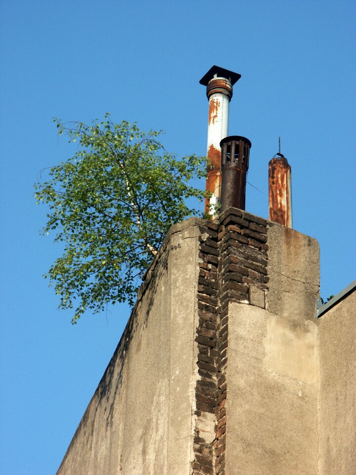 Roof facade sky photo