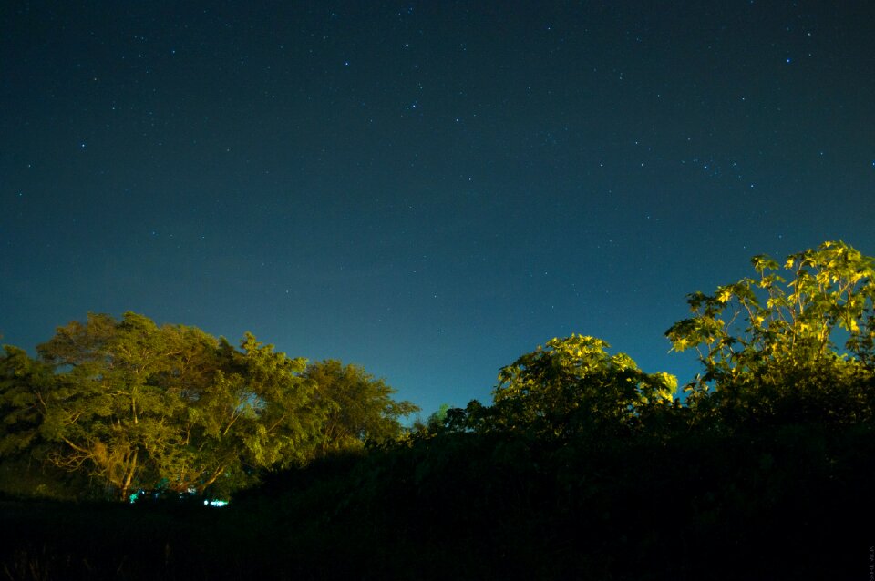 Blue long exposure trees photo