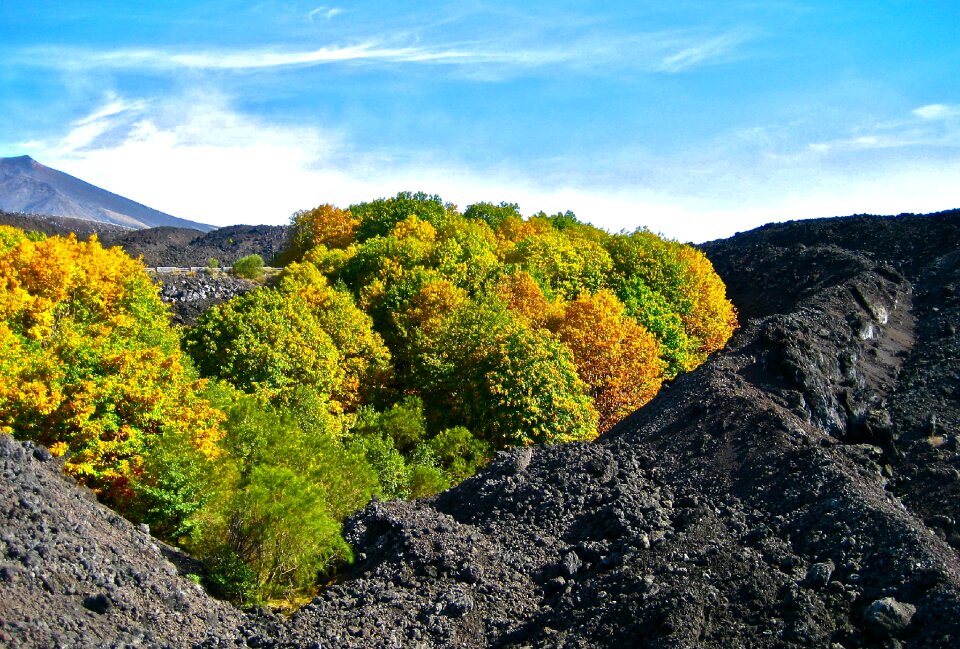 Force of nature contrast autumn