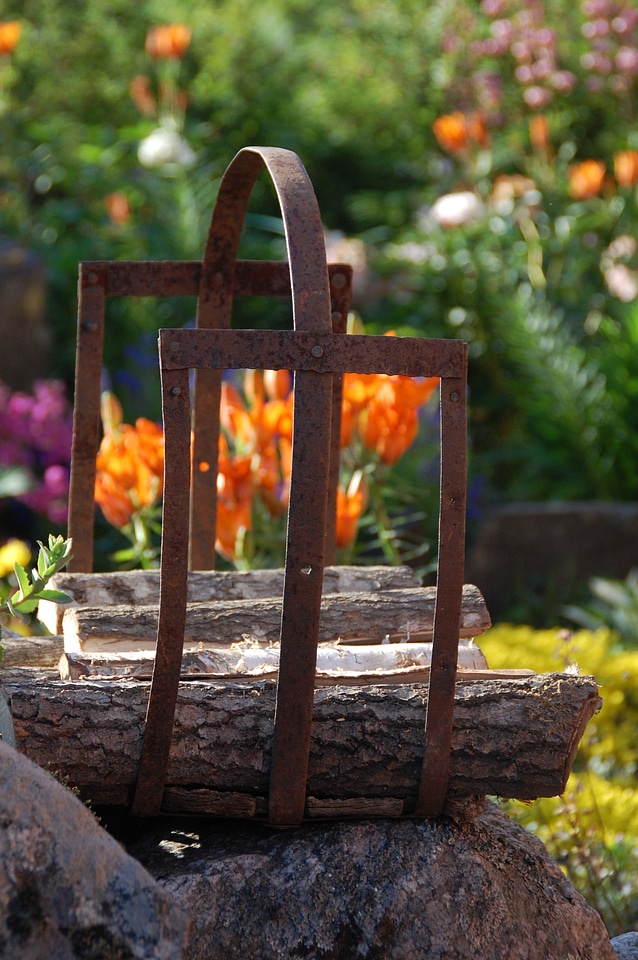 Firewood outdoor natural