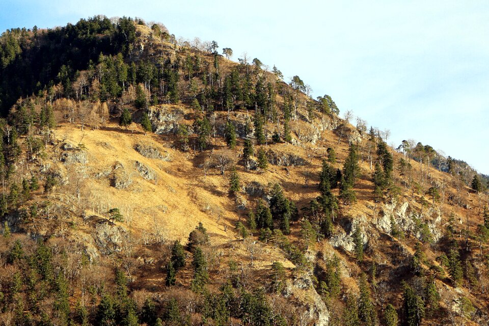 Summit increase in firs