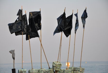 Pennants sea black