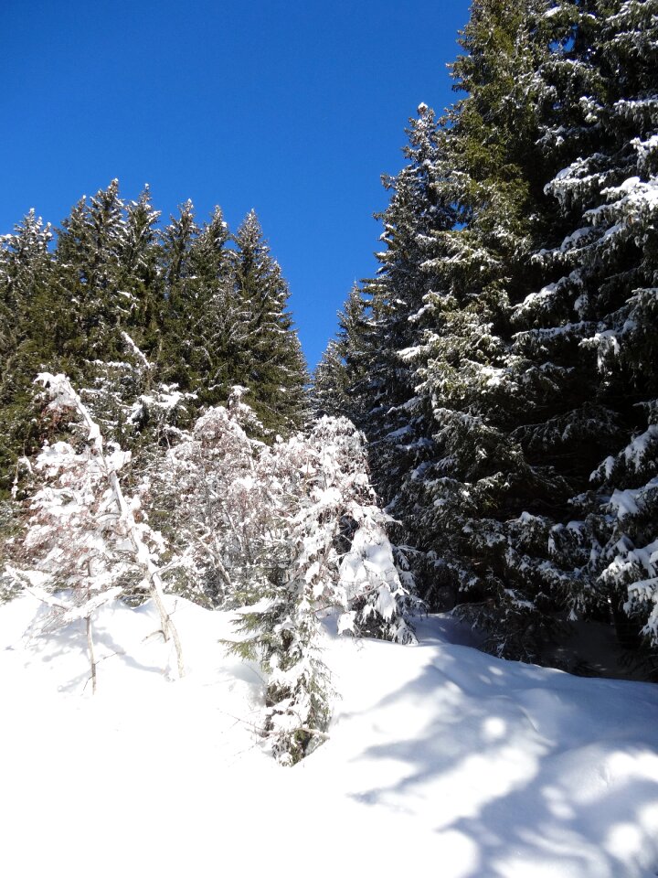 Edge winter snow