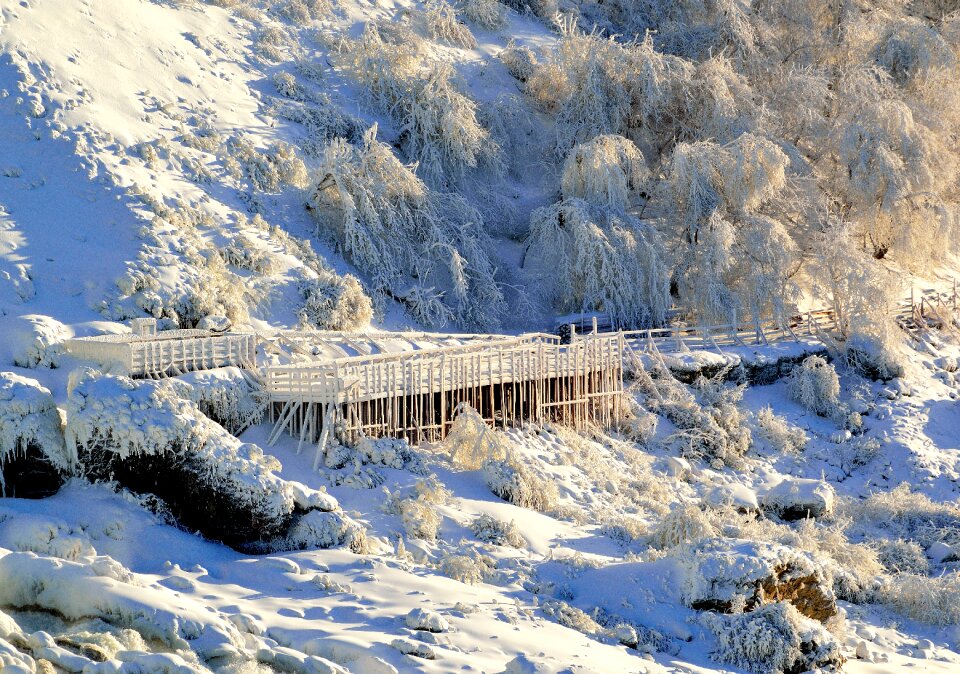 Winter nature frozen