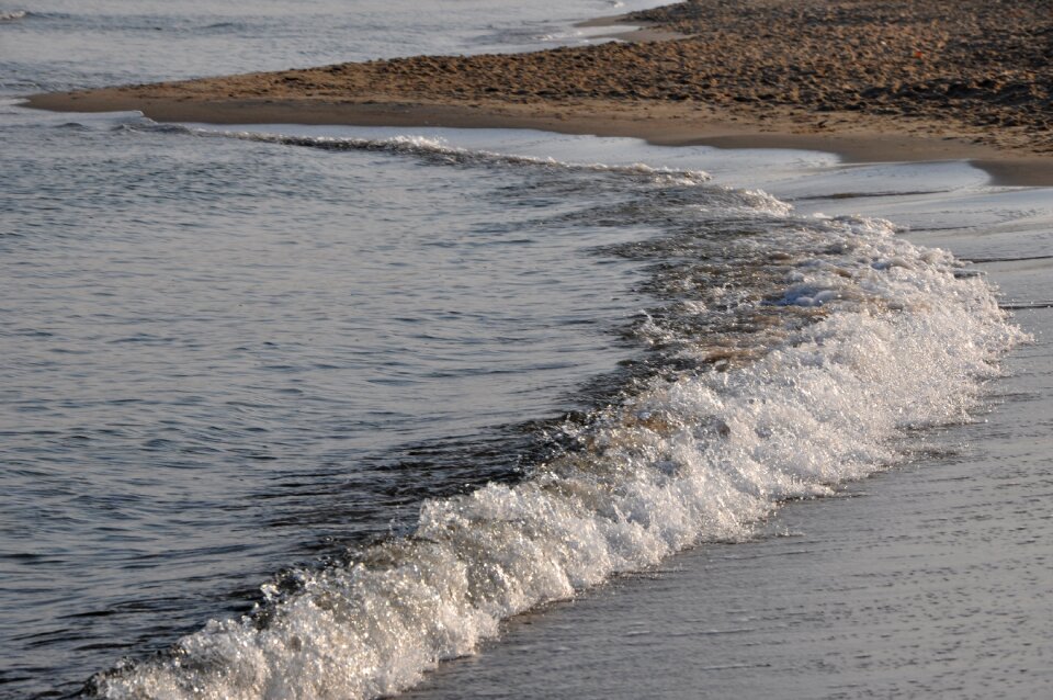 Beach the coast the baltic sea