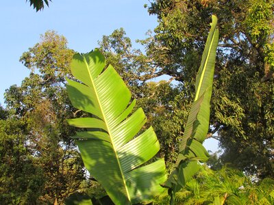 Exotic dharwad india