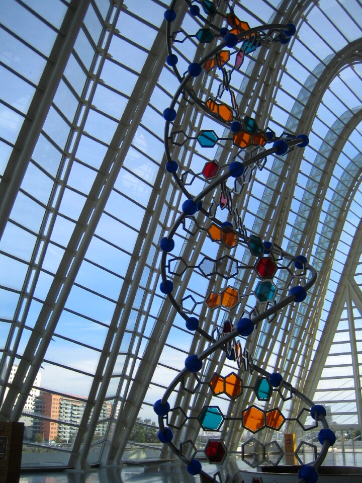 Dna structure Free photos