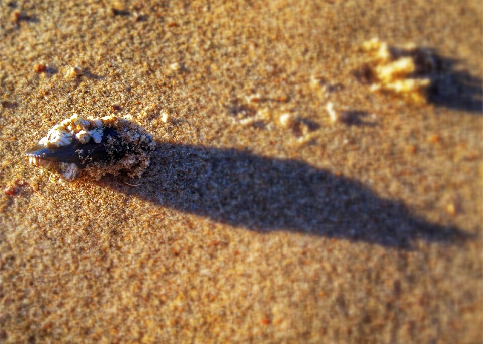 North sea close up beach