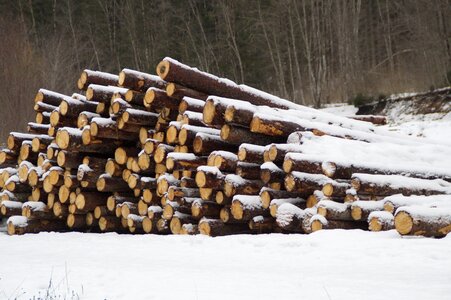 Log stacked up stack photo