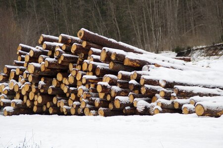 Log stacked up stack