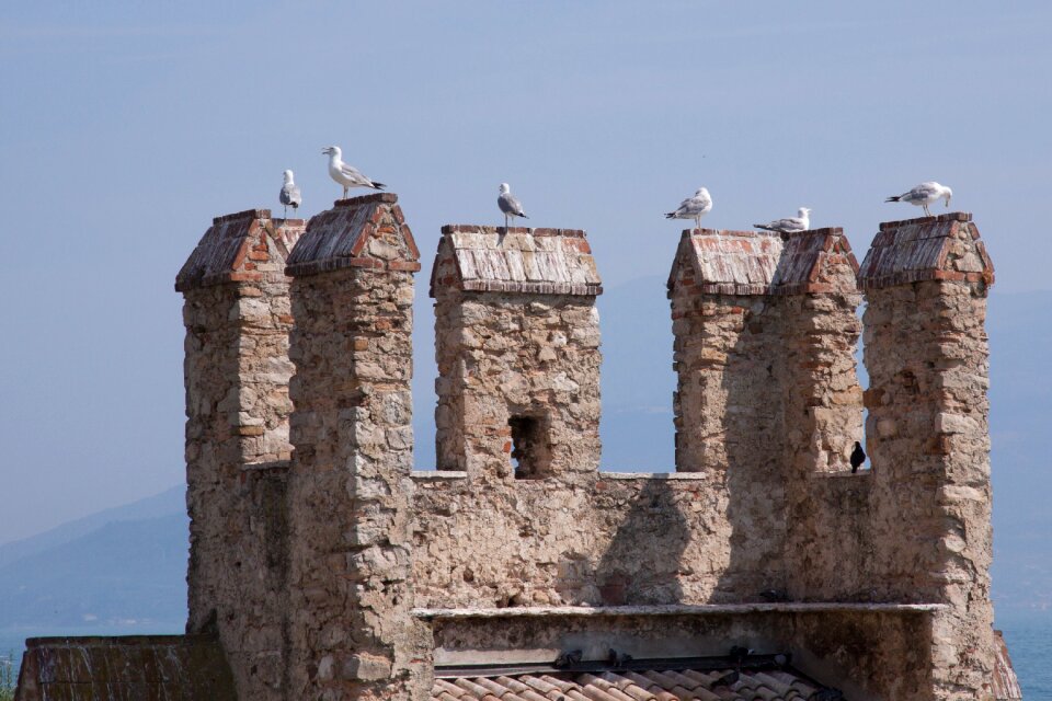 Gulls castle fortress