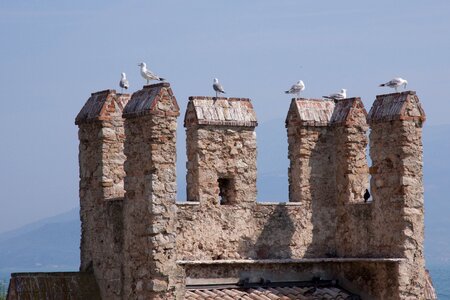 Gulls castle fortress
