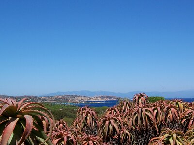 Caprera sea sardinia
