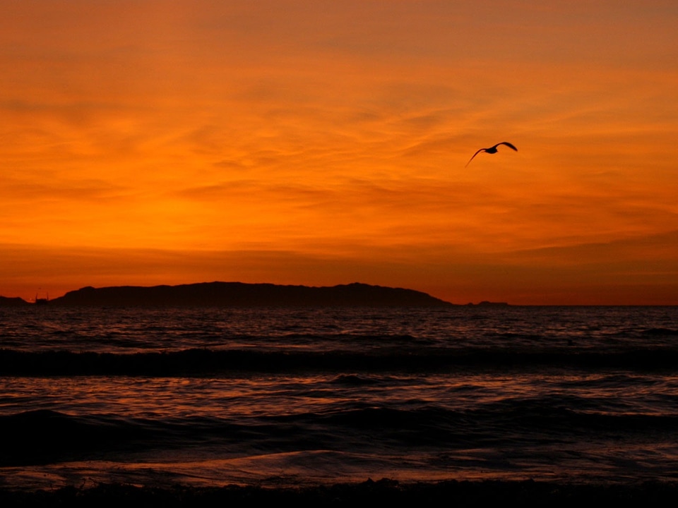 Coast huntington beach