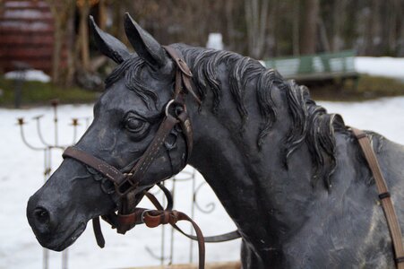 Sculpture animal animal figure photo