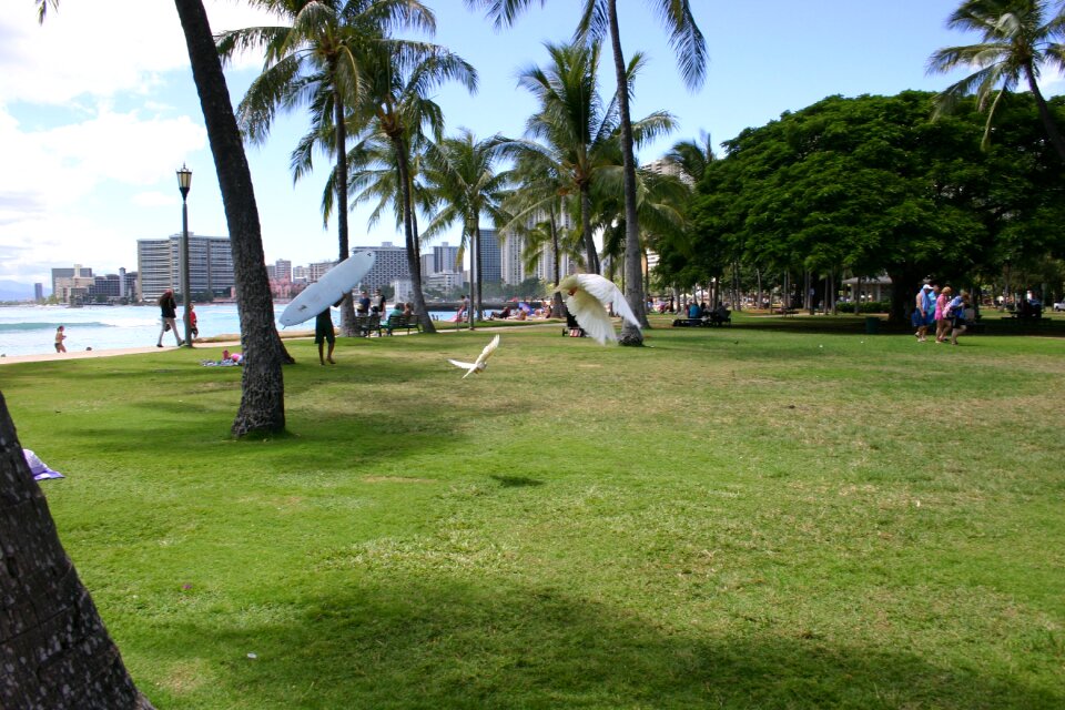 Park gull vacations