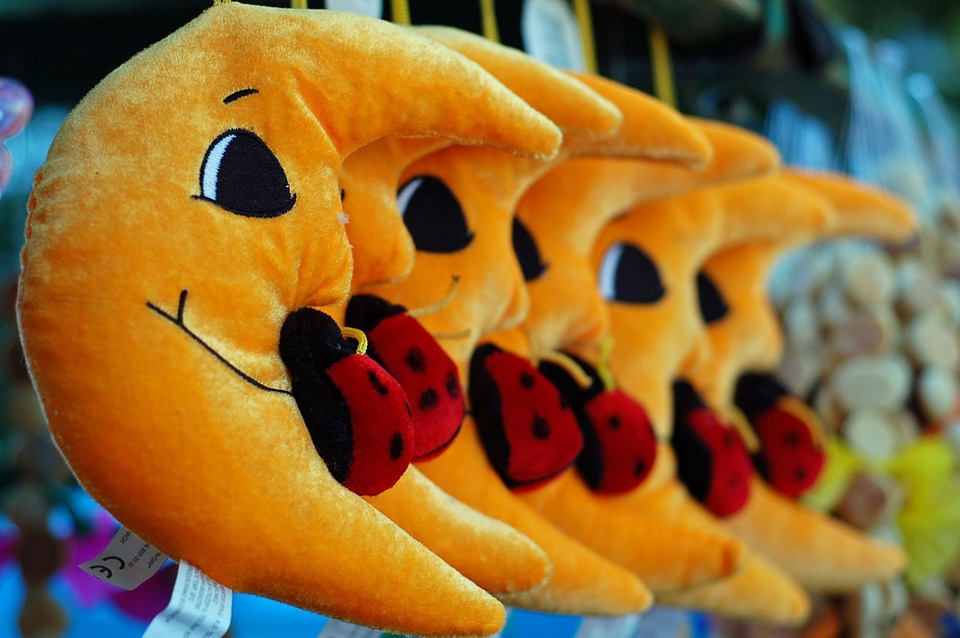 Orange ladybird funfair
