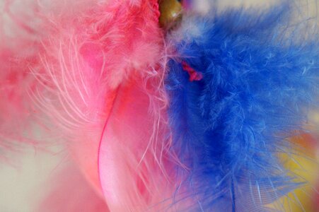 Tender fine colorful