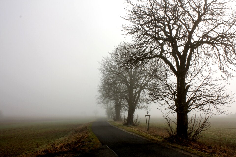 Fog landscape autumn