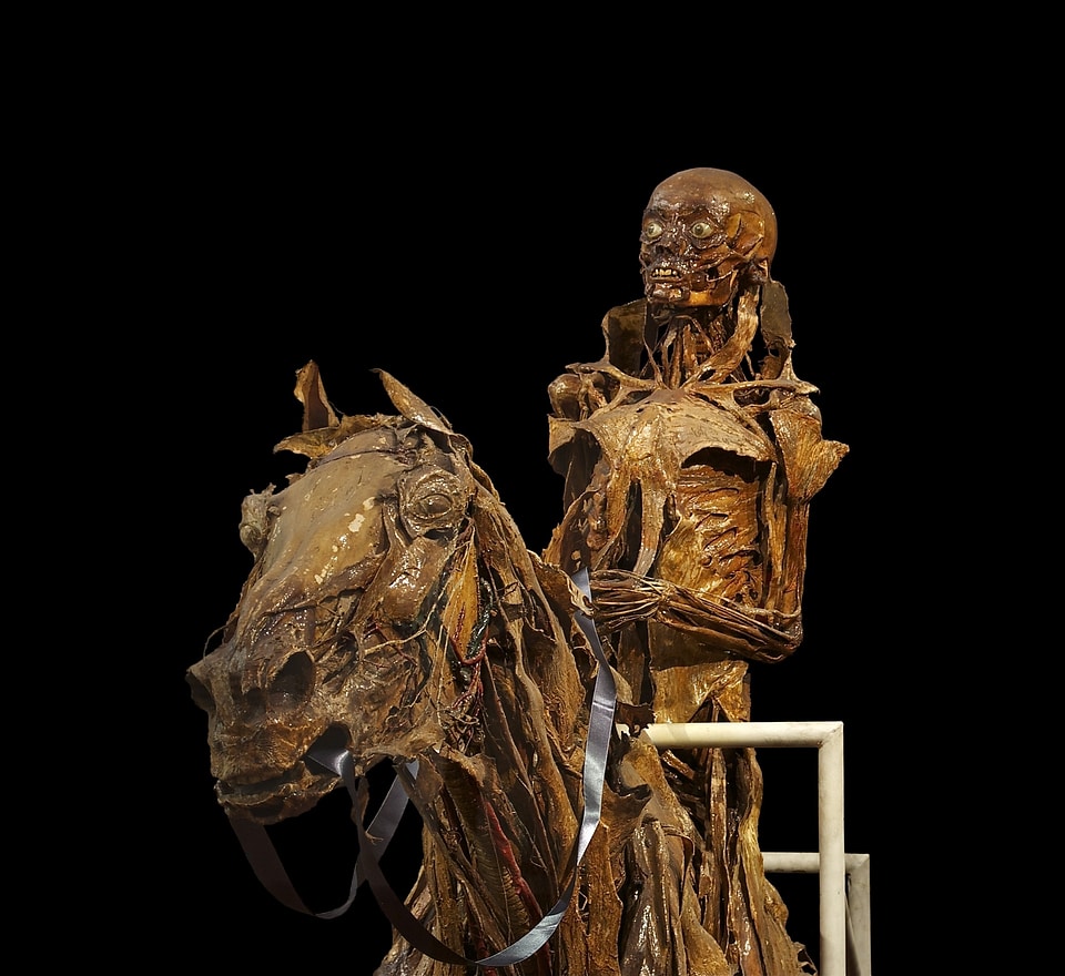 Reiter honoré fragonard anatomy