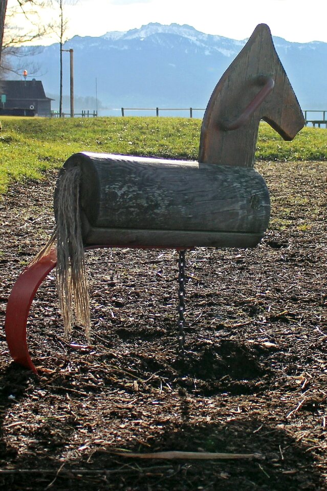 Gaul horse