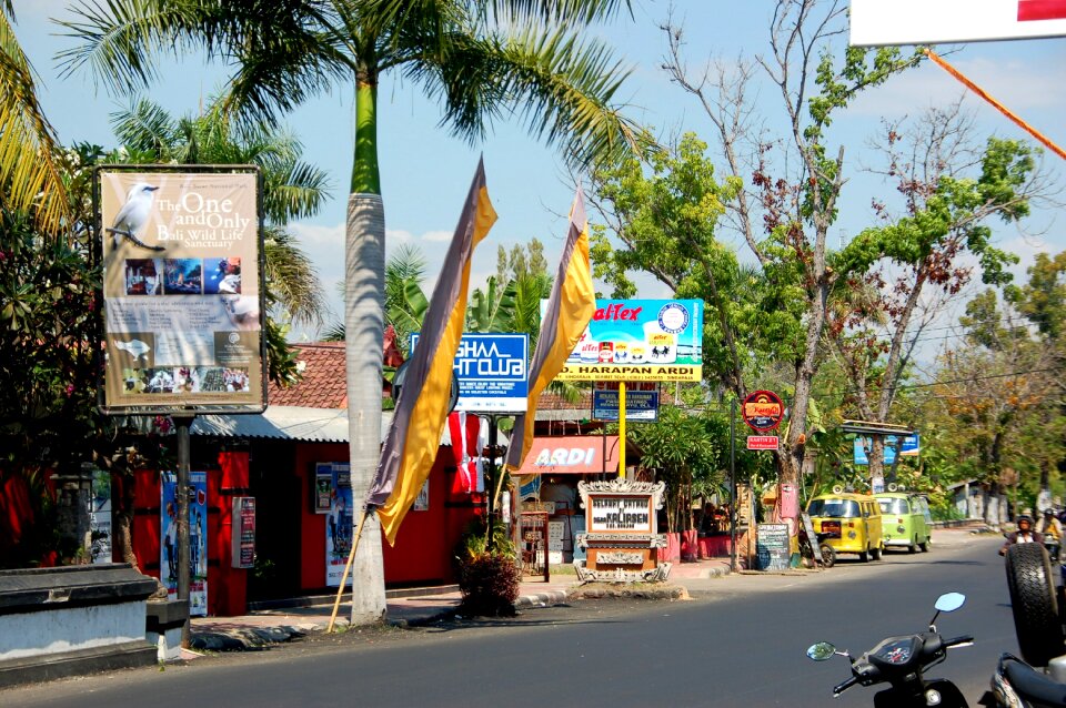 Bali travel shops