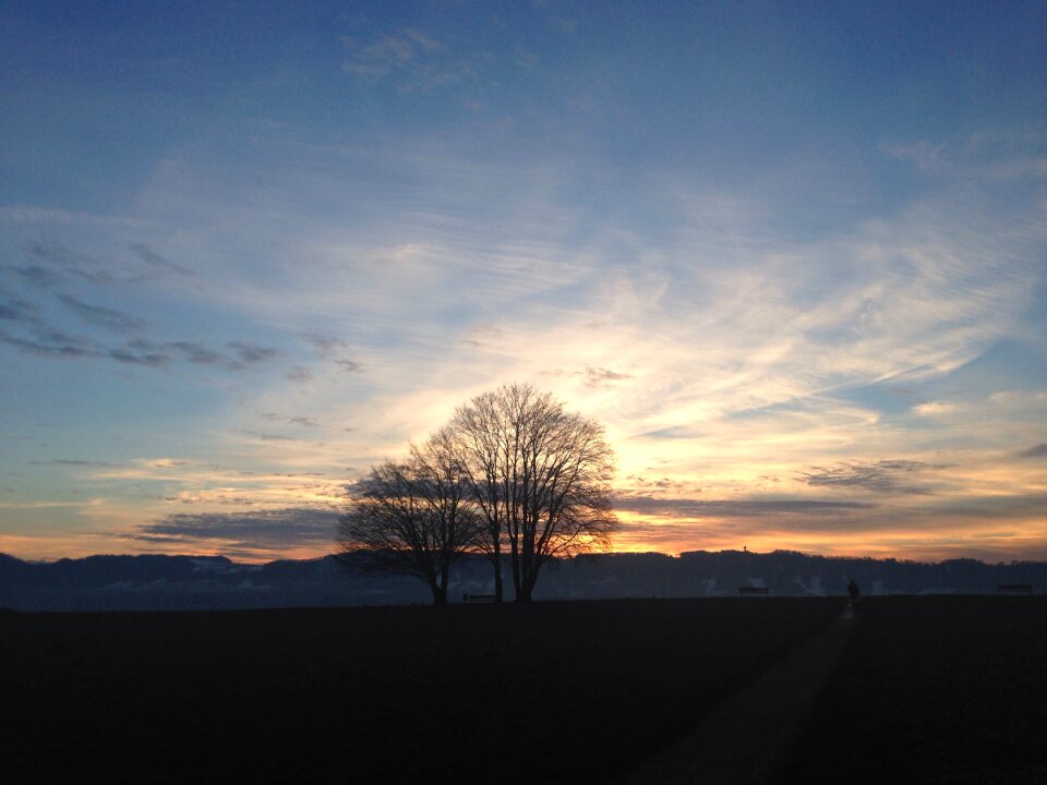 Zollikon switzerland nature