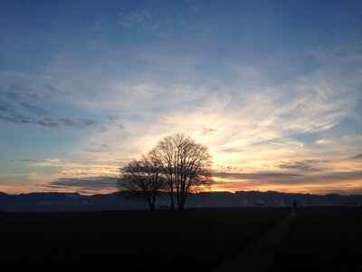 Zollikon switzerland nature
