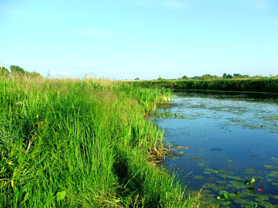 Nature river warta