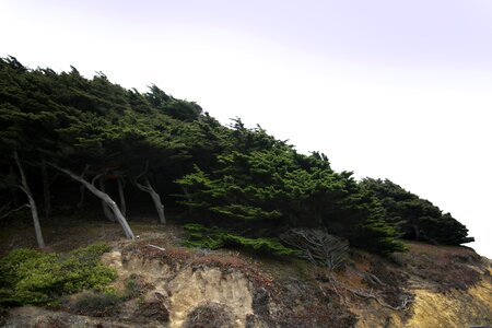 Cliff hill nature